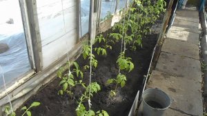 СЛОЖНЫЙ ДЕНЬ