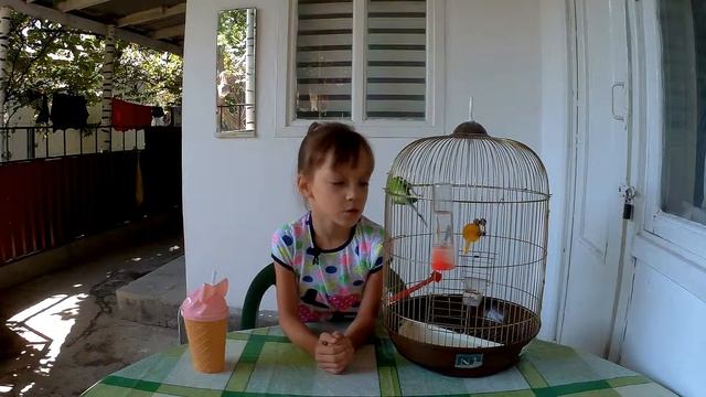 Мой попугай Рома смотреть онлайн