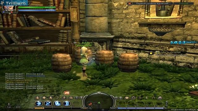 Первый взгляд на Dragon Nest смотреть онлайн