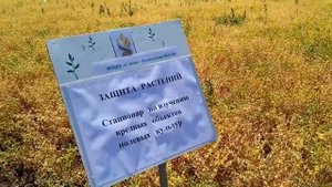 ФГБНУ ФНАЦ Лаборатория защиты растений