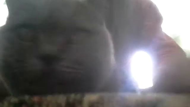 Эй, ты! Да, да ты смотреть онлайн