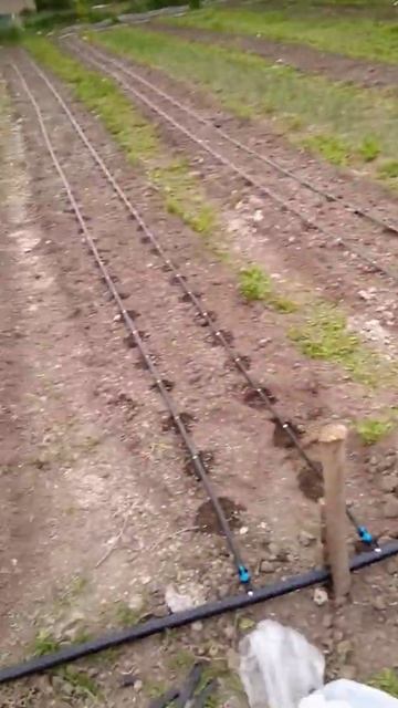 Капельный полив (общий вид) смотреть онлайн