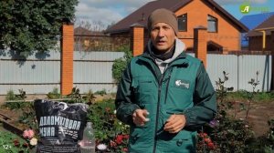 Как и чем раскислить почву осенью? Эксперимент!