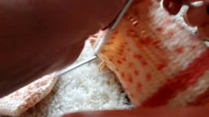 Вяжем носки со сменной пяткой, следом и мыском. Переход с резинки на лицевую гладь. Убавление. #ЛЛВ