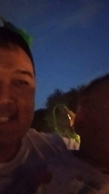 папа вам не мама) посадил на американские горки)