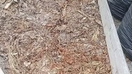 И зимой растет картошка или старт нового эксперимент?