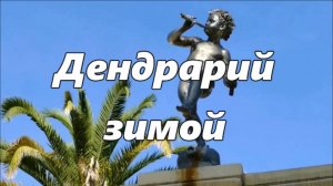 Сочинский дендрарий в феврале  Пальмы и скульптуры  Красивые виды