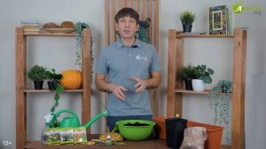 САЖАЕМ ЛУК: как, когда и куда сеять Сеем на рассаду и в ?