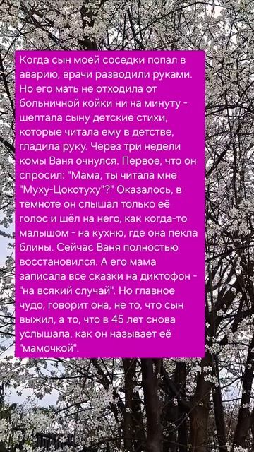Мамин голос #добро #жизнь #психология #забота #семья #та