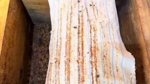 Подкармливаю слабый отводок пчёл.