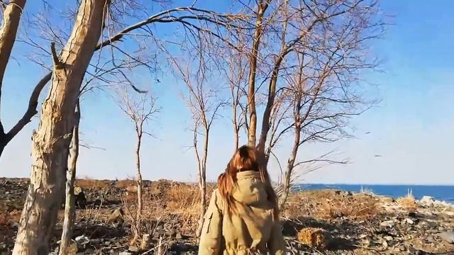 Не отступай и не сдавайся. смотреть онлайн