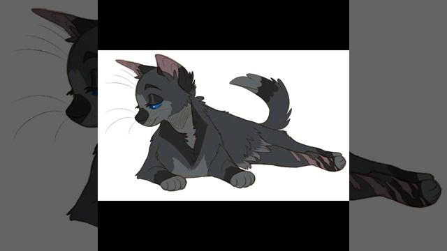 Почему снежок не может быть снегоухим?Теория!#коты_воители