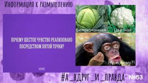 Когда мы "всё знаем", почему нет ответа?