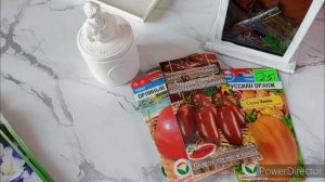 Лучшие сорта томатов сезон 2025/Пошуршим пакетиками.