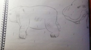 Real Animal Battle 2:Polar bear VS Hippo/Белый Медведь VS Бегемот