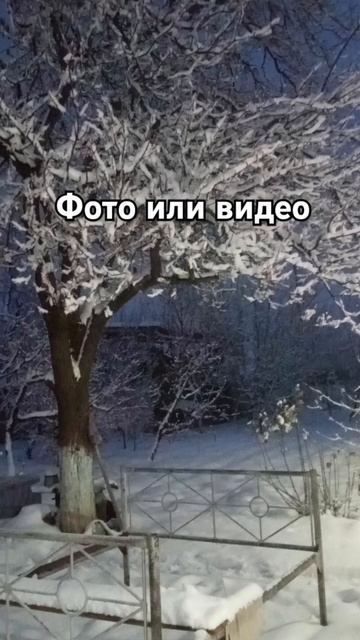 Фото или видео подпишись и поставь лайк пж смотреть онлайн