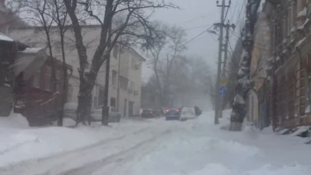 Снежок в Ростове 24