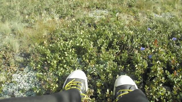 я летом сижу на горе смотреть онлайн