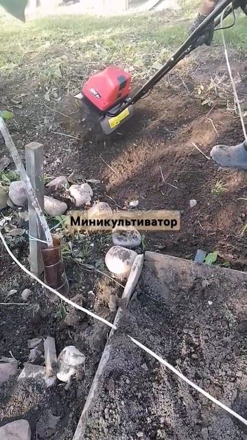 Миникультиватор. Незаменимая вещь на дачном участке. ?