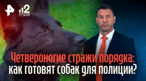 Четвероногие стражи порядка: как готовят собак для поиска взрывчатки
