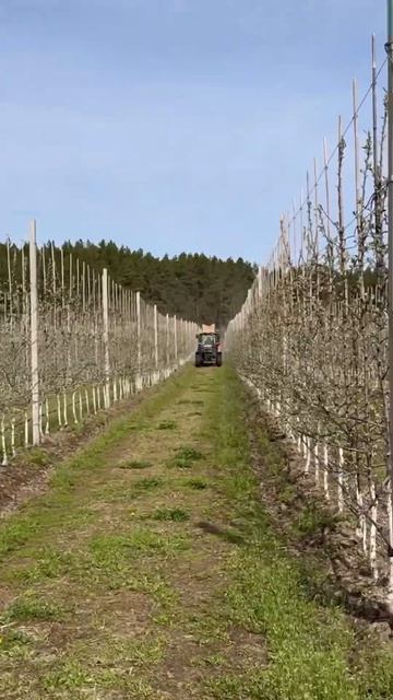 Отличные минеральные удобрения и аминокислоты для са? смотреть онлайн