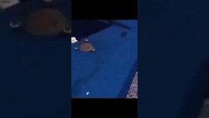 Мемы по My Summer Car #1