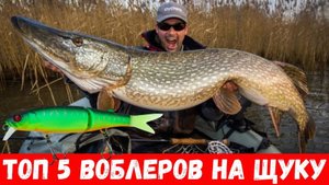 Лучшие воблера для ловли щуки в 2025 году! Топ 5 воблеров на щуку в 2025!