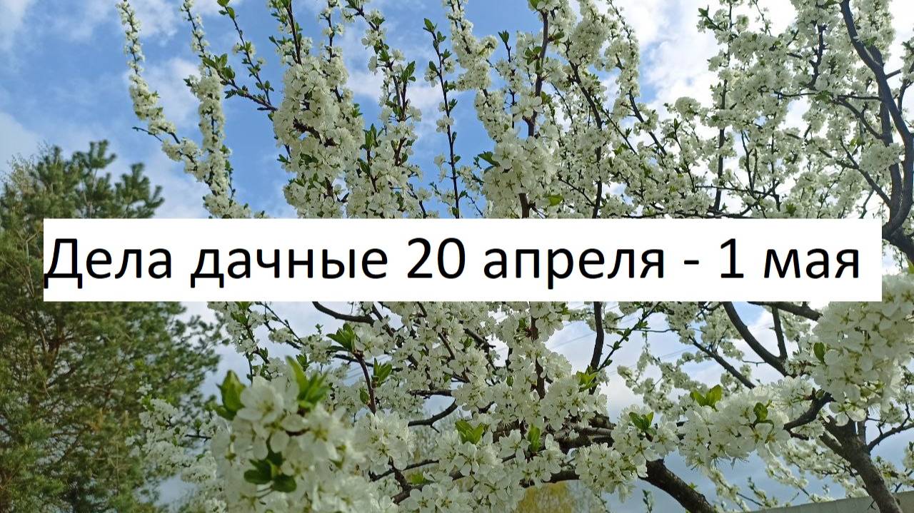Дела дачные 20 апреля - 1 мая
