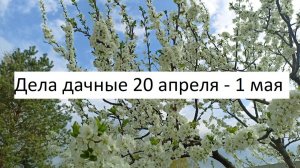 Дела дачные 20 апреля - 1 мая