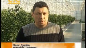 Тепличный комплекс в д.Ярки