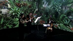 А. Вивальди. Концерт ре минор.