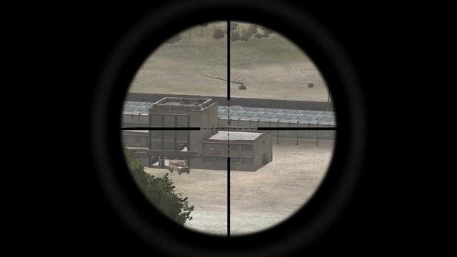 Снайпер и беспечный маслёнок