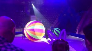 Цирк 2023 май