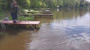 Поимки карпа на верхнем. Клёвое место, Лосиный остров.