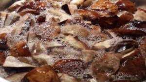 Маринованные моховики или польские грибы