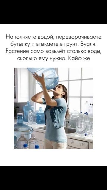 семена по ссылке💚 #семяныч2 #семяныч #семена  #шишки #г?