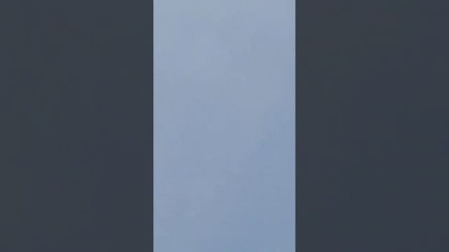 3часть 15 Января 🕊️💥 голуби идут на посадку #бакински смотреть онлайн