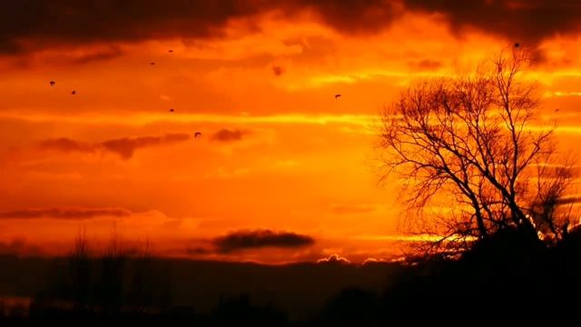 Қозии дӯз Тиллоҳои бева Занро дуздит охир оқибат кушта шуд смотреть онлайн