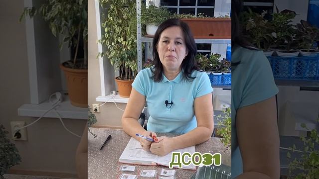 Сроки  посева  рассады цветов. Эустома, бегония, алиссу