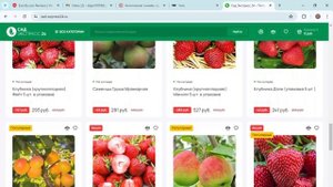 Сад Экспресс 24 (sad-express24.ru) — отзывы о магазине, развод п