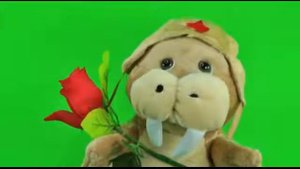 Нежный моржик