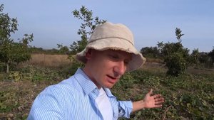 КЛУБНИКА ОСЕНЬЮ.  ПОДКОРМКА.  ОБРЕЗКА . СХЕМА ПЕРЕСАДКИ