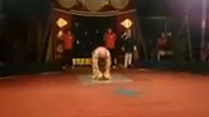 Силовой жонглер Василий Бойчин