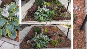 Цветники без сорняков. Мульчирование и бюджетный борд