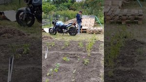 Купили пустой участок, и сделали вместе маленькую дач?