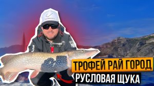 Щука на 15 метрах. Борьба с местными:)