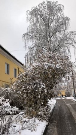 На границе осени и зимы