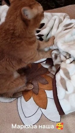 Маркиза наша 🥰