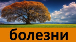 И болезни имеют смысл и пользу для нас! - Никон Воробьев