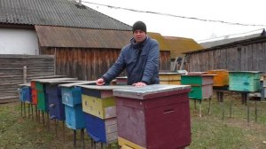 Можно ли сейчас пересадить пчёл в новый чистый улей.